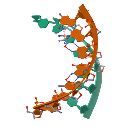 RCSB PDB 2X2Q Crystal structure of an all locked LNA duplex