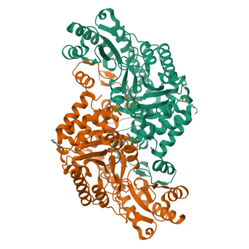 RCSB PDB - 2X5F: Crystal structure of the methicillin-resistant 