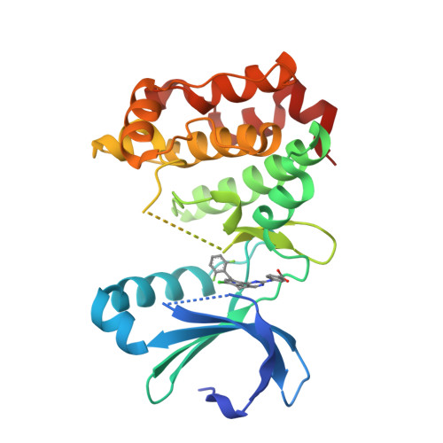 AYK 86J インターセプター2 最終値下げ】 AYK 激レア 未組み立て 86J インターセプター2