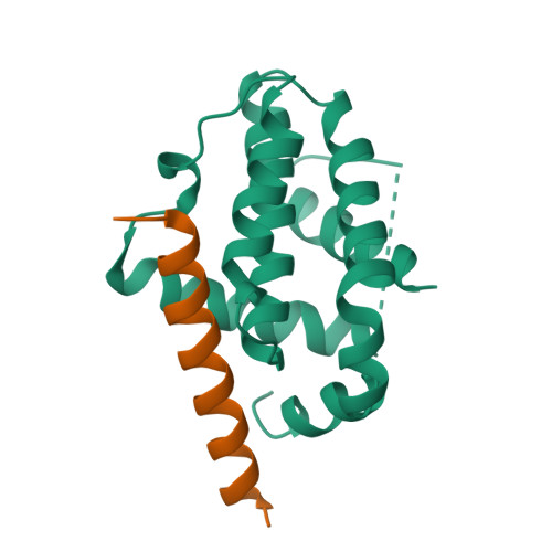 RCSB PDB 2XA0: Crystal structure of BCL-2 in complex with a BAX BH3  peptide