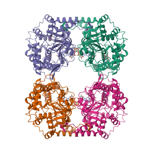 RCSB PDB - 2XCW: Crystal structure of the D52N variant of cytosolic 5 ...