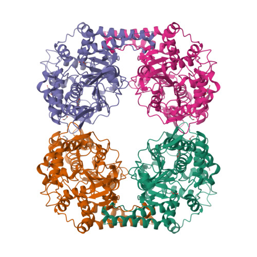 RCSB PDB - 2XCX: Crystal structure of the apoform of the D52N variant ...