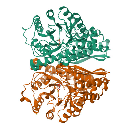 RCSB PDB - 2XH7: Engineering the enolase active site pocket 