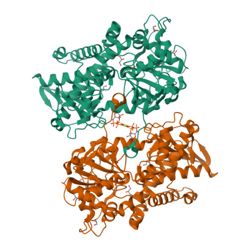 RCSB PDB - 2XJD: Crystal structure of the D52N variant of cytosolic 5 ...