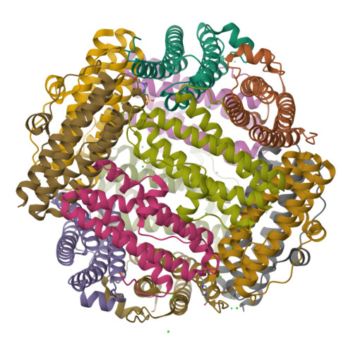 RCSB PDB - 2XJO: Crystal structure of Streptococcus suis Dpr with nickel