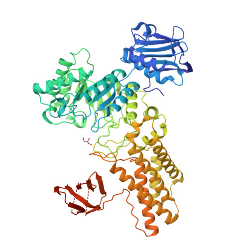 RCSB PDB - 2XM1: BtGH84 in complex with N-acetyl gluconolactam
