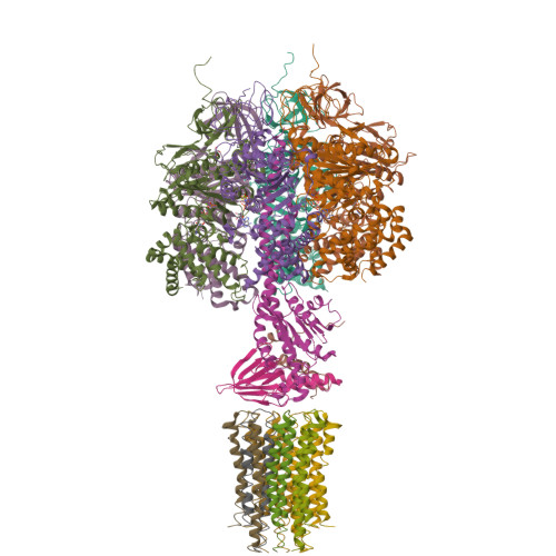 RCSB PDB - 2XND: Crystal structure of bovine F1-c8 sub-complex of ATP ...