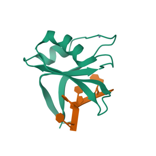 RCSB PDB - 2XS7: Crystal structure of the RRM domain of mouse