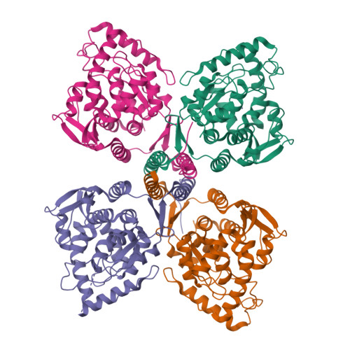 PDB 2XSN