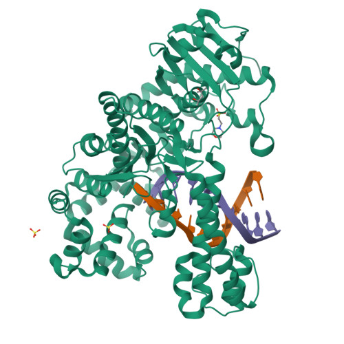 RCSB PDB - 2XY6: Crystal structure of a salicylic aldehyde basepair in ...