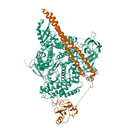 Phosphatidylinositol 4,5-bisphosphate 3-kinase catalytic subunit beta isoform structure