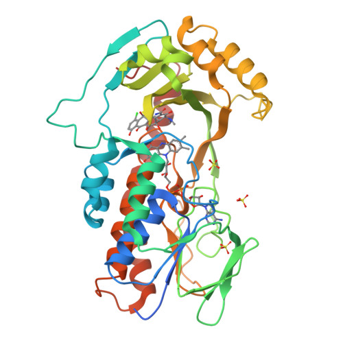 RCSB PDB - 2Y6R: Structure of the TetX monooxygenase in complex with ...