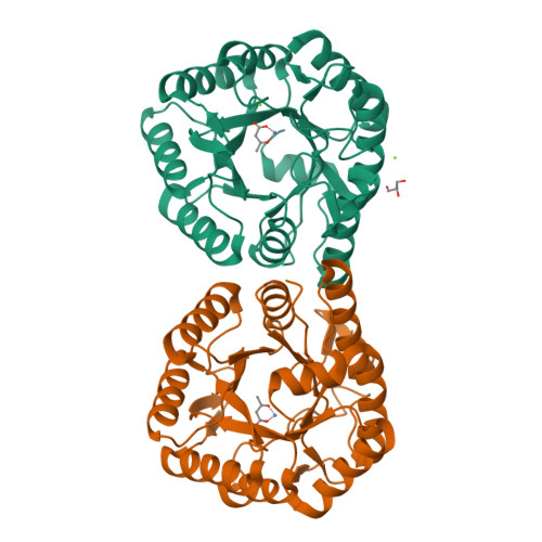 yuページ RCSB PDB - 6YUY: STRUCTURE OF THE WNT DEACYLASE NOTUM IN
