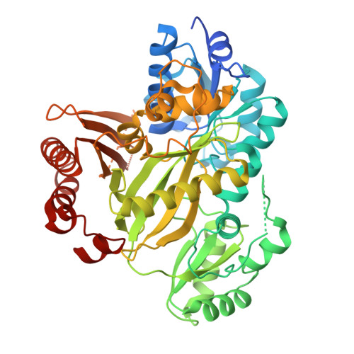 Rcsb Pdb - 2yl2: Crystal Structure Of Human Acetyl-coa Carboxylase 1 