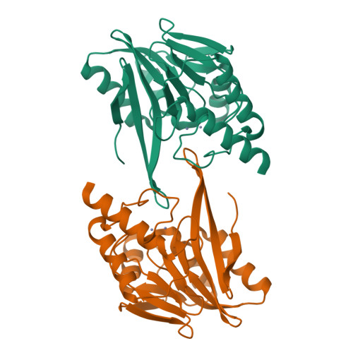 GIM-1 protein structure
