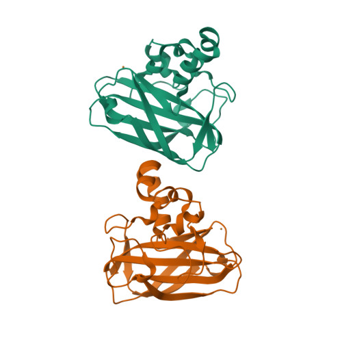 RCSB PDB - 2YOX: Bacillus amyloliquefaciens CBM33 in complex with 