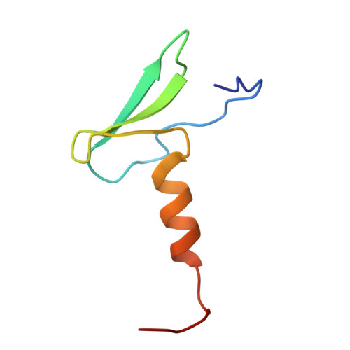 RCSB PDB - 2YSE: Solution structure of the second WW domain from the ...