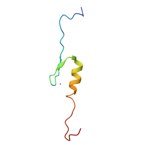 RCSB PDB 2YTP Solution structure of the C2H2 type zinc finger (region 687719) of human Zinc