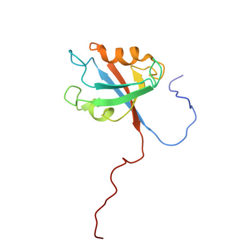 RCSB PDB - 2YUB: Solution structure of the PDZ domain from mouse LIM ...