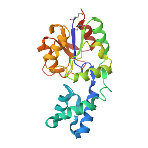 RCSB PDB - 2YY6: Crystal Structure of the phosphoglycolate phosphatase ...