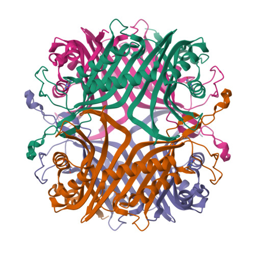 RCSB PDB - 2YZB: Crystal structure of uricase from Arthrobacter ...