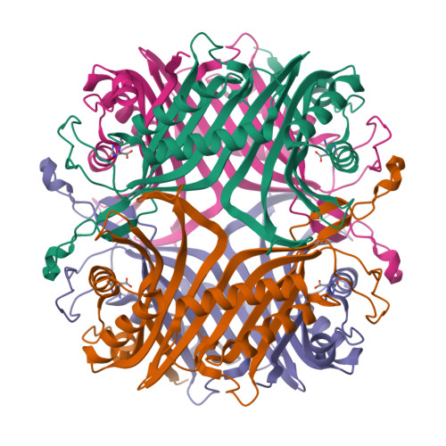 RCSB PDB - 2YZC: Crystal structure of uricase from Arthrobacter ...