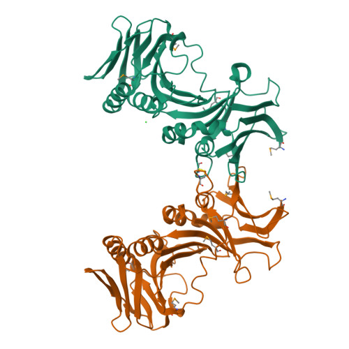 RCSB PDB - 2Z0L: Crystal structure of EBV-DNA polymerase accessory