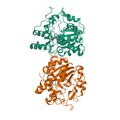 PDB 2Z5F