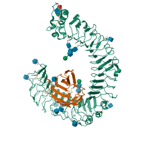 The structural details of the X4Y2Z compounds with I-42d symmetry