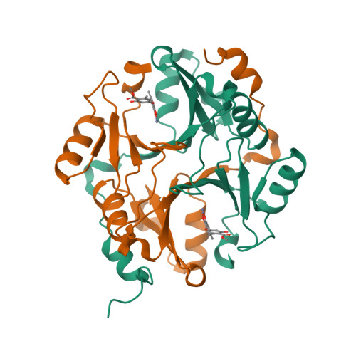 Lactoylglutathione lyase structure