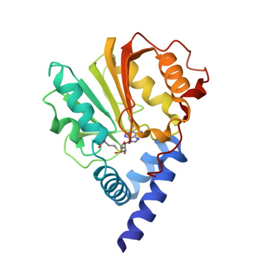 PDB 2ZFU