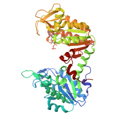 Rcsb Pdb 2zgv Crystal Structure Of Human Phosphoglycerate Kinase