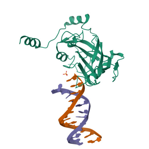 RCSB PDB - 2ZO2: Mouse NP95 SRA domain non-specific DNA complex