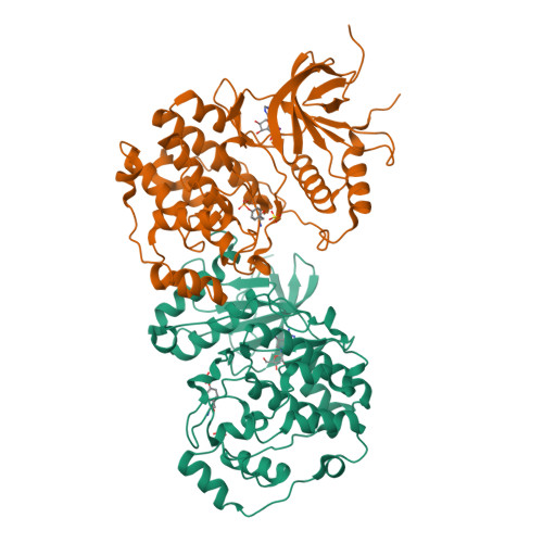 RCSB PDB - 2ZOQ: Structural dissection of human mitogen
