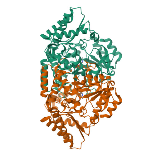 RCSB PDB - 2ZSM: Crystal structure of glutamate-1-semialdehyde 2,1 ...