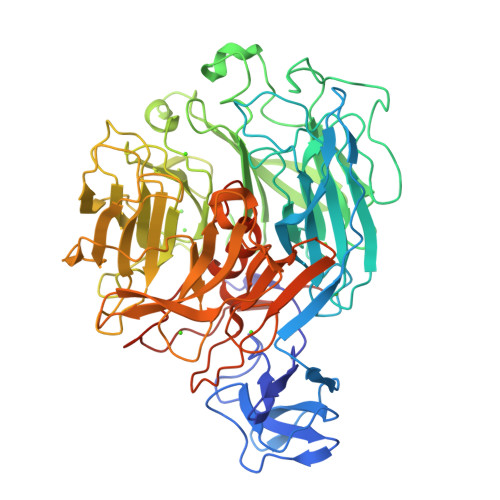 RCSB PDB - 2ZUY: Crystal structure of exotype rhamnogalacturonan