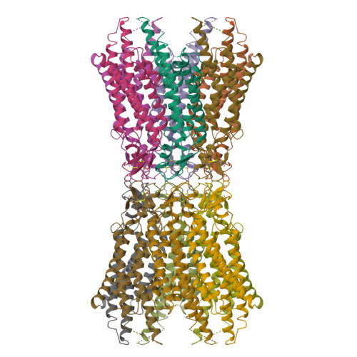 RCSB PDB - 2ZW3: Structure of the connexin-26 gap junction channel 