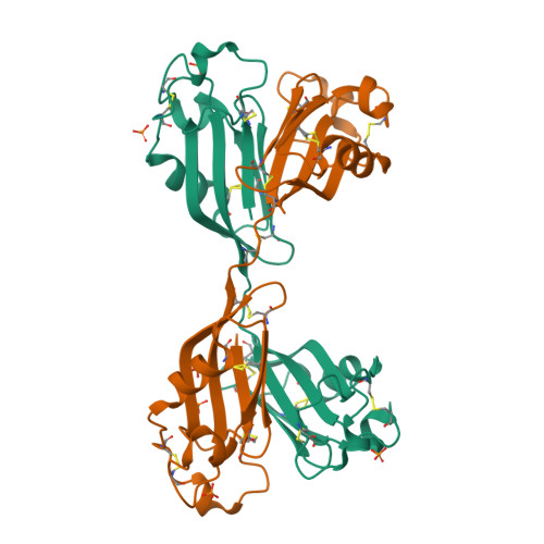 RCSB PDB - 2ZX1: Rhamnose-binding lectin CSL3