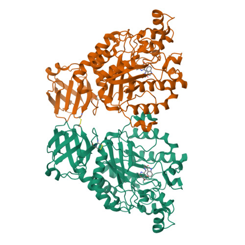 りゅうページ カワサキ Ninja ZX－4R SE｜（株）はとや 上尾店