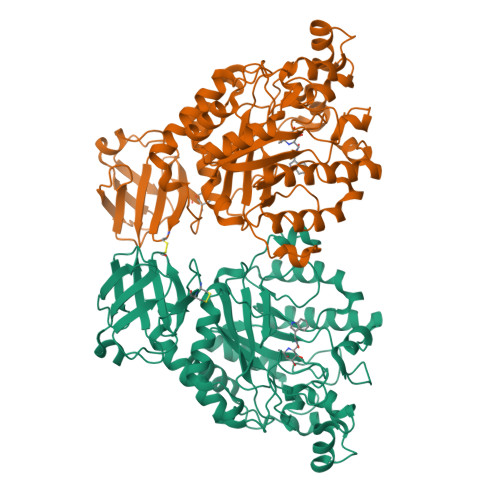 RCSB PDB - 2ZX6: alpha-L-fucosidase complexed with inhibitor