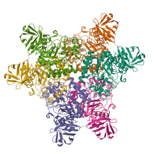 RCSB PDB - 2ZX7: alpha-L-fucosidase complexed with inhibitor, F10-2C