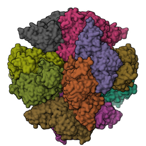 RCSB PDB - 2ZY5: R487A mutant of L-aspartate beta-decarboxylase