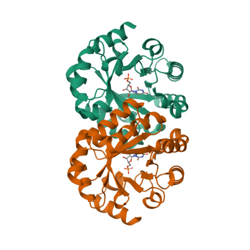 RCSB PDB - 2ZZ5: Orotidine Monophosphate Deacarboxylase D70A/K72A 