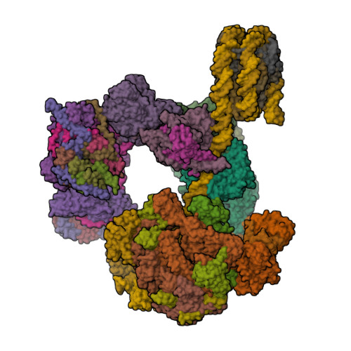 Structure 30FF