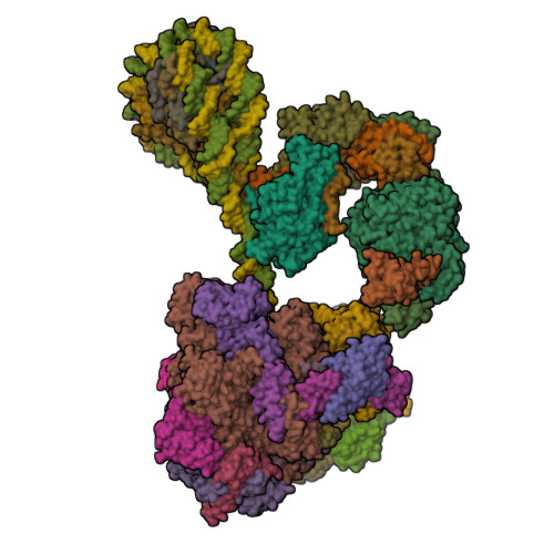 Structure 30FH