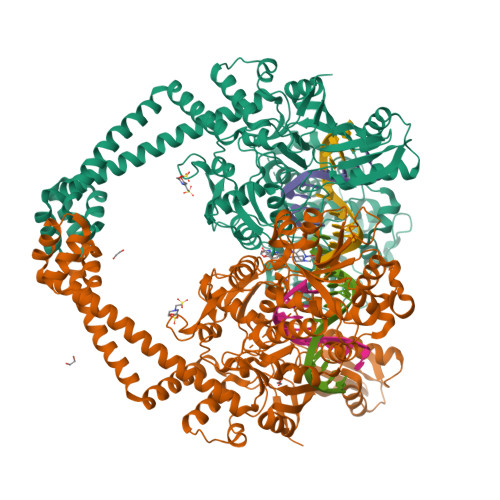 Structure 30LF
