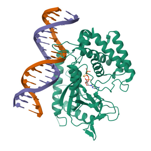 Structure 30LM