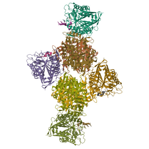 Structure 30MN
