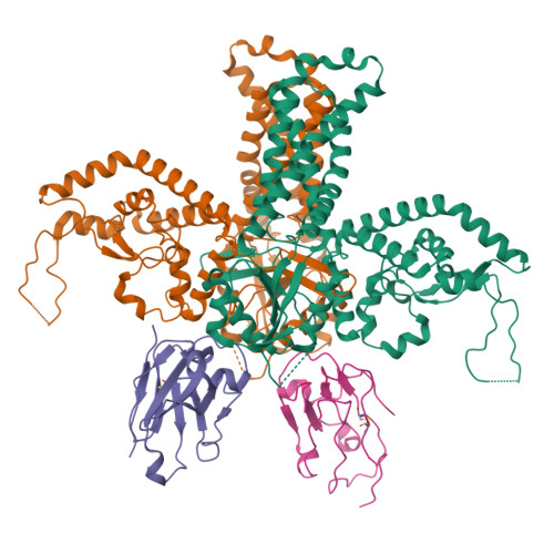 Structure 30US
