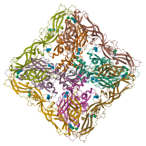 Structure 30XT